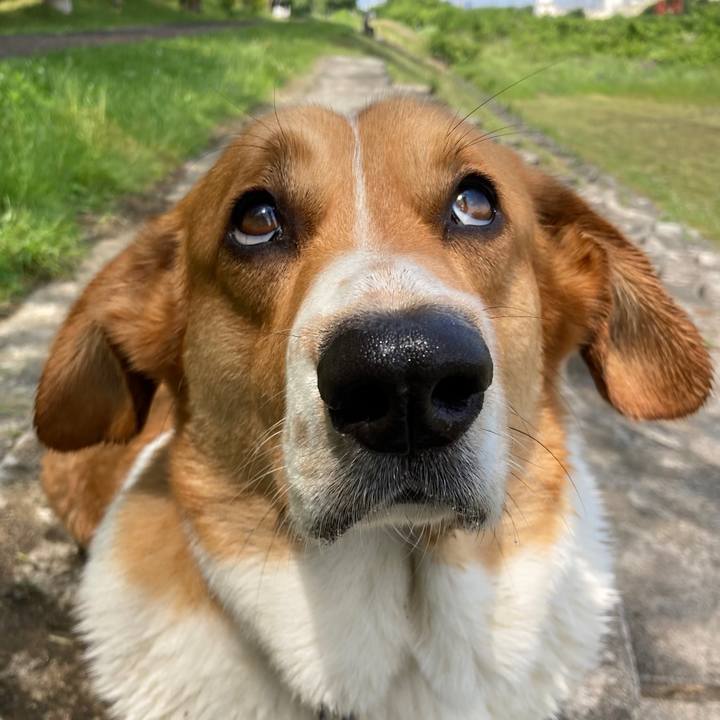 D8a97d0b 8dd1 4e57 b6fc 0a41a4272f4c 1683857865236