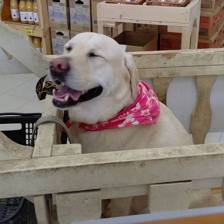 D8a9ae39 6382 4923 aab1 0f71154f8380 1590150672288