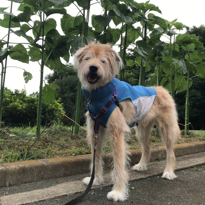 D8a9b857 0e29 4986 852e 5396eb458688 1660550110926