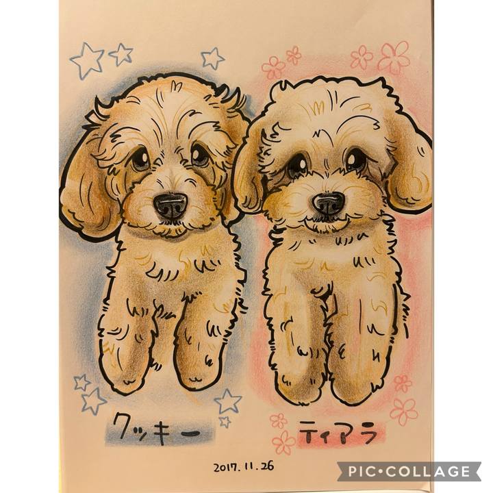 D8a9cbd3 32e1 4170 bc57 028b7cfa44c6 1737022749272