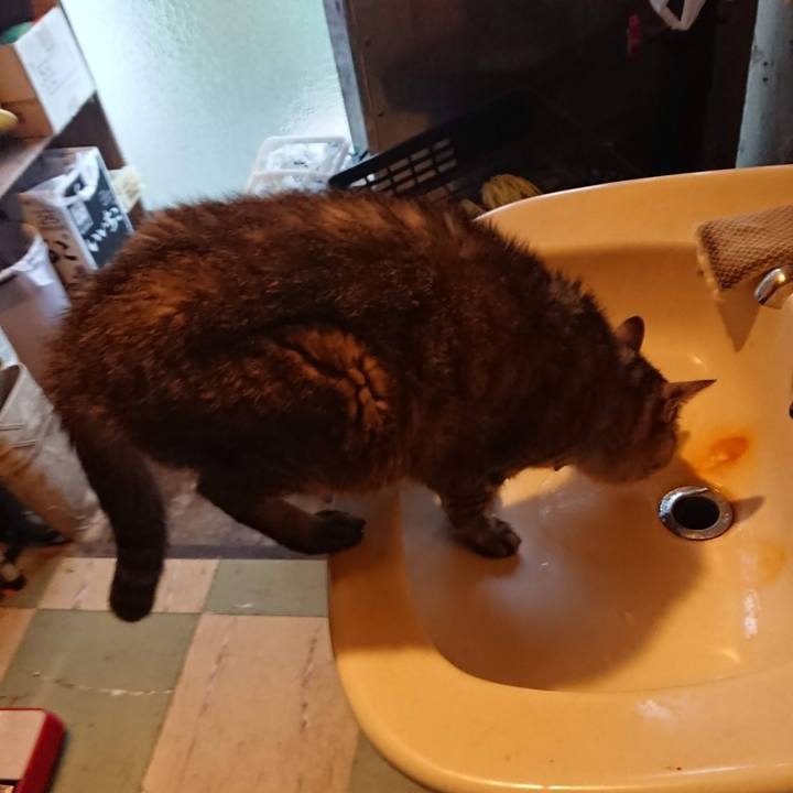 D8a9cc0e c65c 457c 90c6 d3a646e0432c 1602102046641