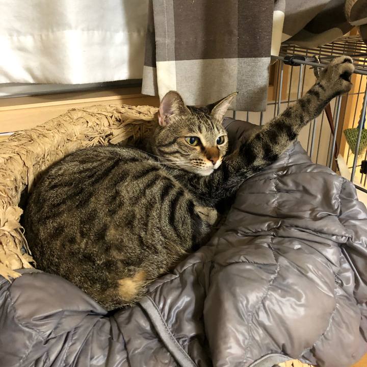 D8a9d0a2 db67 460b 85e3 011a51eea831 1552590564161