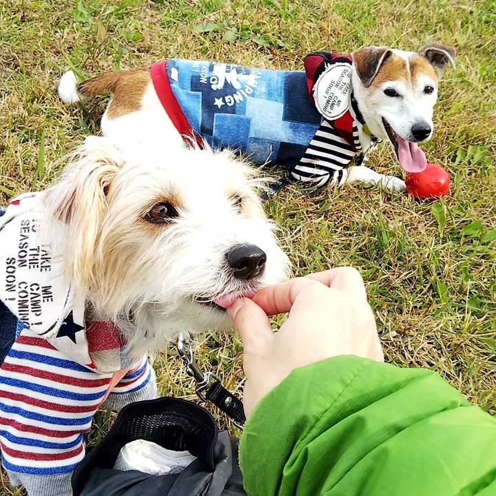 D8a9d11b 09c2 4ebb 981d 12363bf559cb 1543126370845