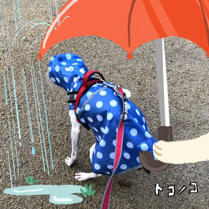 D8a9fb1b 006a 4c4c 9b2e baec7e5d1dda 1749600249042