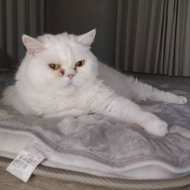 D8a9ff23 e4ec 46c9 a823 925cbbc6e113 1729599284477