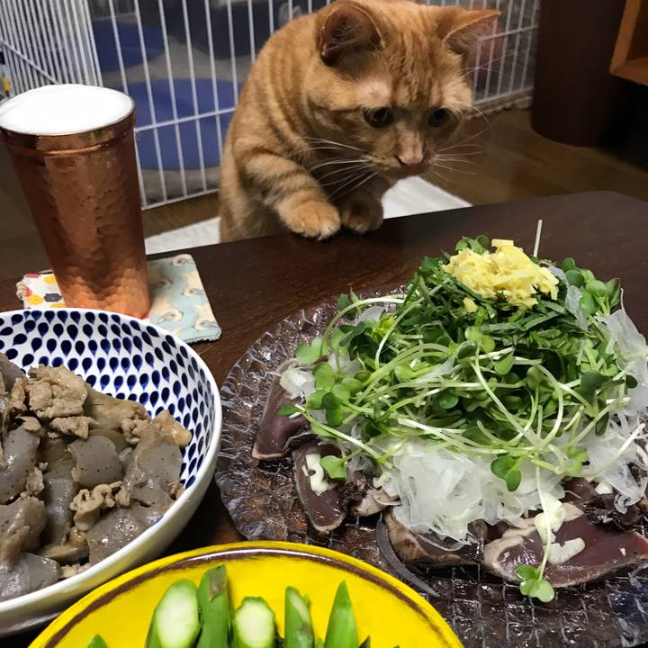 D8aa06dc 5407 4ac3 8fcb a56b3978ab7a 1526044933482