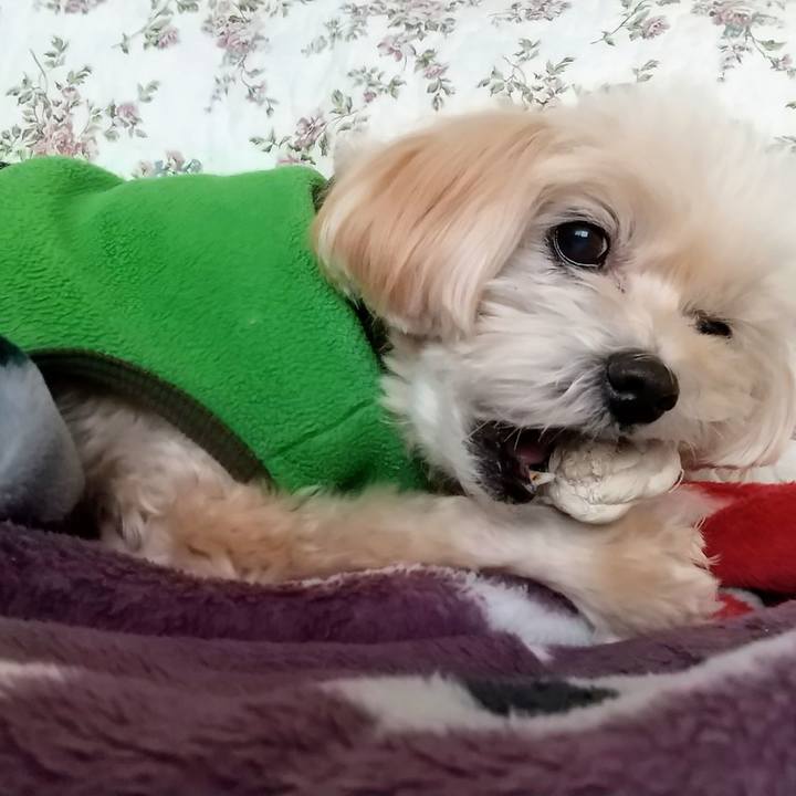 D8aa1215 0c78 479b 96af d1ab5030dcbe 1577884261889