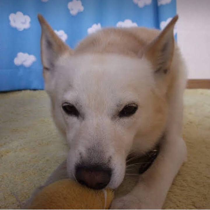 D8aa1585 0af8 46b0 a885 04d51a93884d 1599477404398