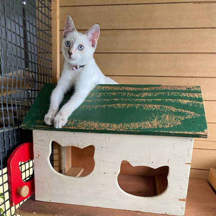 D8aa50ab 064d 49a7 a55e adb23c9ada2b 1629682507865