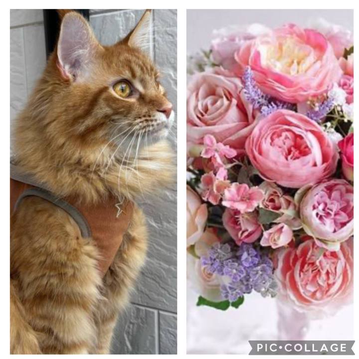 D8aa587e 6a24 42b2 a106 49cbd91f388a 1761260016176