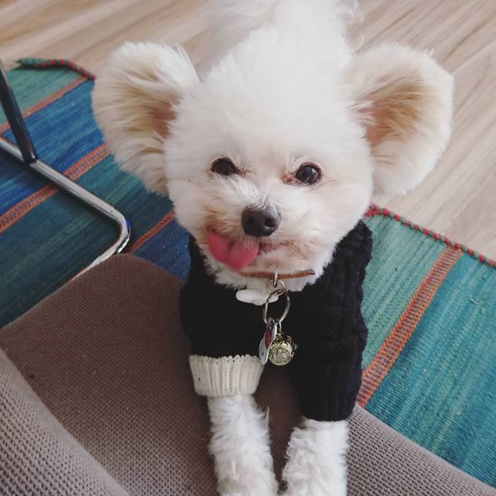 D8aa6f58 79c1 4844 9a0e 82292ad46803 1548657056854