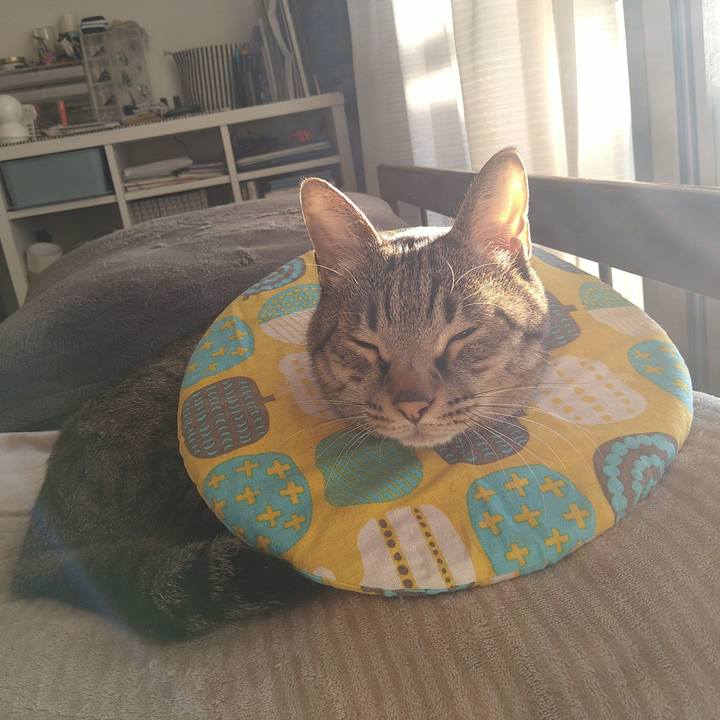 D8aa7242 533f 4a49 9e2c 5d2d7c5797a1 1733034203957