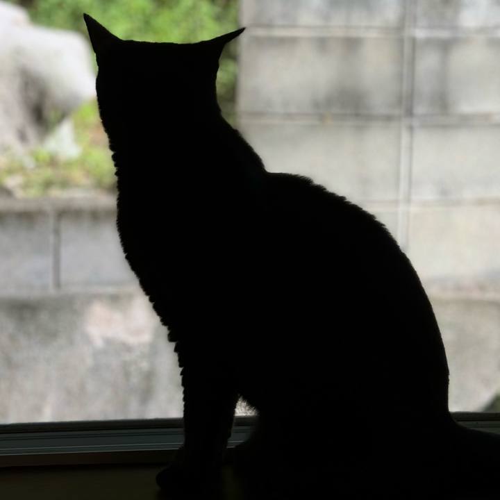 D8aa766e 4105 4a1b 9535 d5d89eeba894 1723896614653