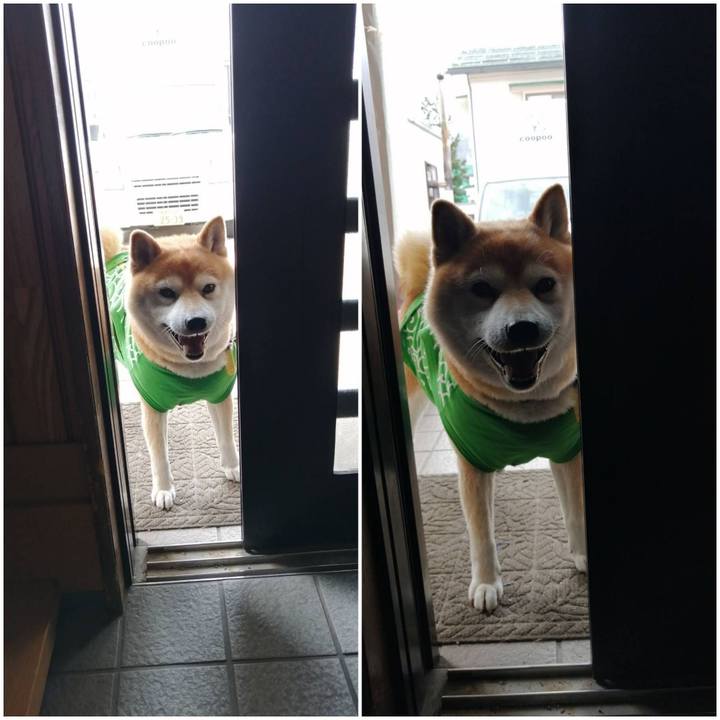 D8aaa68d 8cb0 4a87 a302 d1faba5f77e0 1588055080081