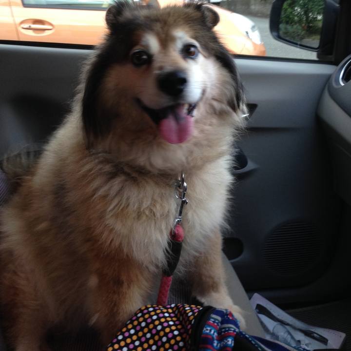 D8aabe34 e10e 4c92 8d85 7ae860c3b6fb 1568203411909