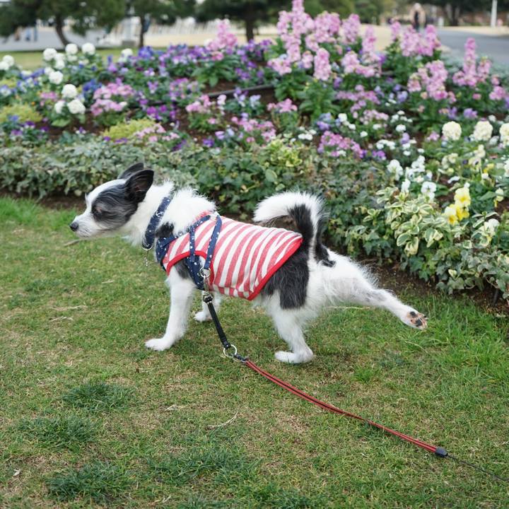 D8aae7d2 fb17 4ab9 910f 92f10896270d 1578997907761