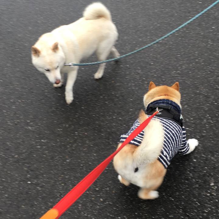 D8ab17f5 a872 4c51 ae38 c316ba4eda7c 1585466830160