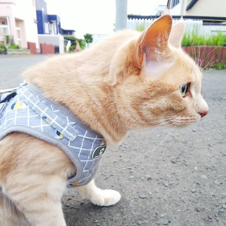 D8ab2522 5466 4a91 b91c 4f836bcebe41 1685185726614