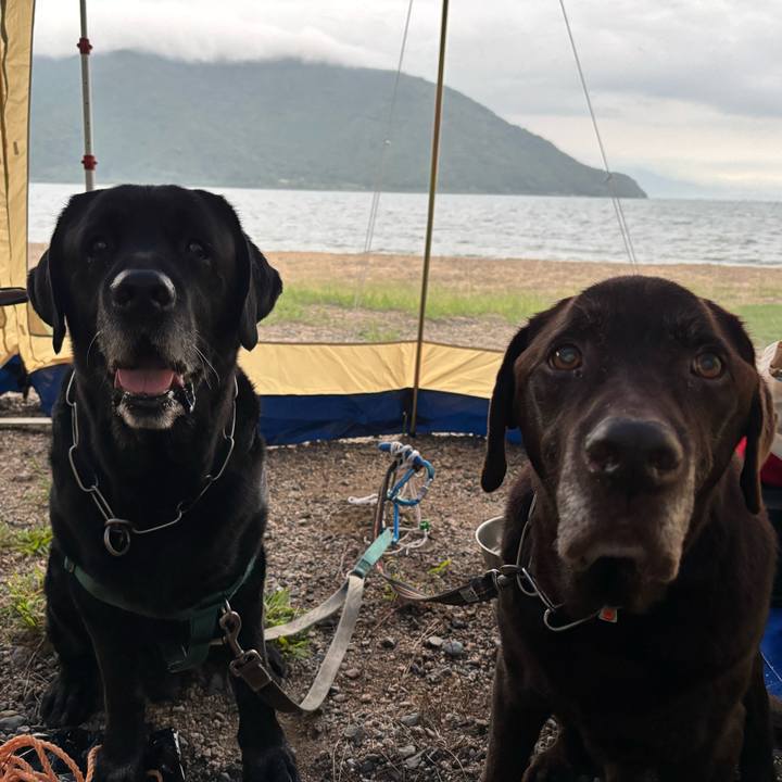 D8ab3605 21d0 4b03 bb18 4ff280d7803c 1758367402822