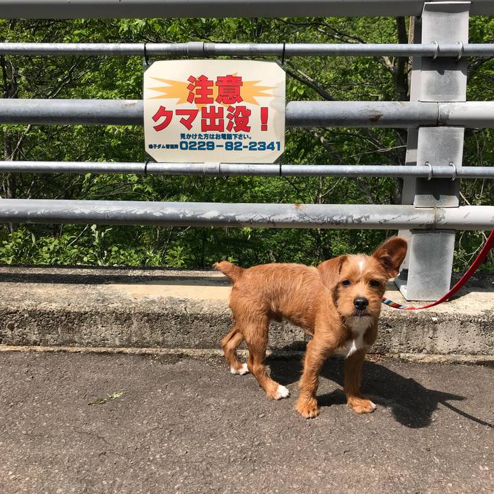 D8ab7963 37b2 4802 9897 5b040690b590 1525424009790