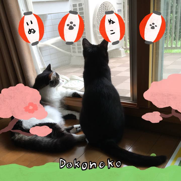 D8ab90fe 92b2 4f55 a6e0 771c641099bd 1712359620297