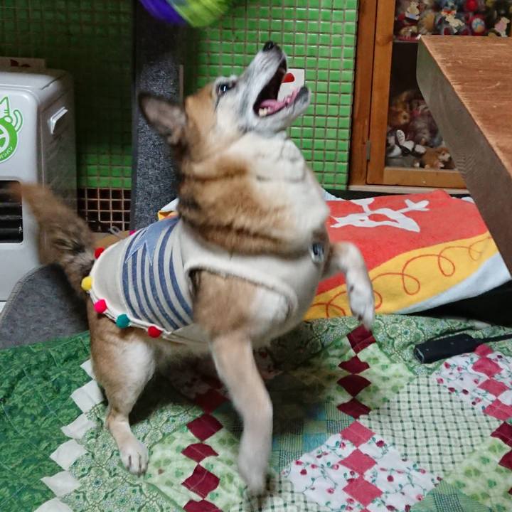 D8ab915f f816 46a2 a46c 6b7f2920e596 1552640770645