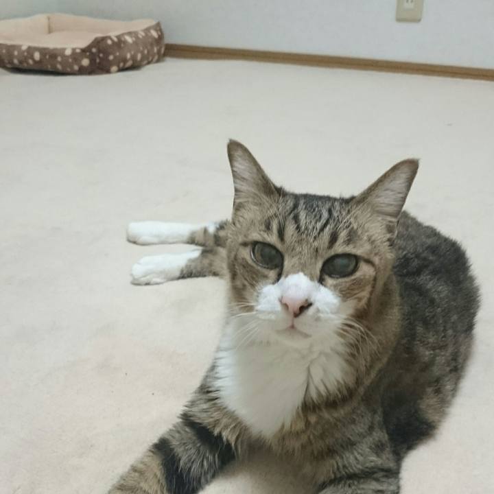 D8aba18c d87b 42f9 8bed a505a73693af 1510326788184