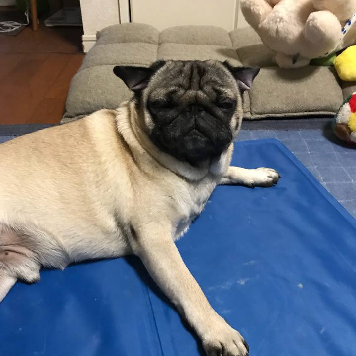 D8aba9ca 2526 423c 9c85 37679d492467 1532177122107