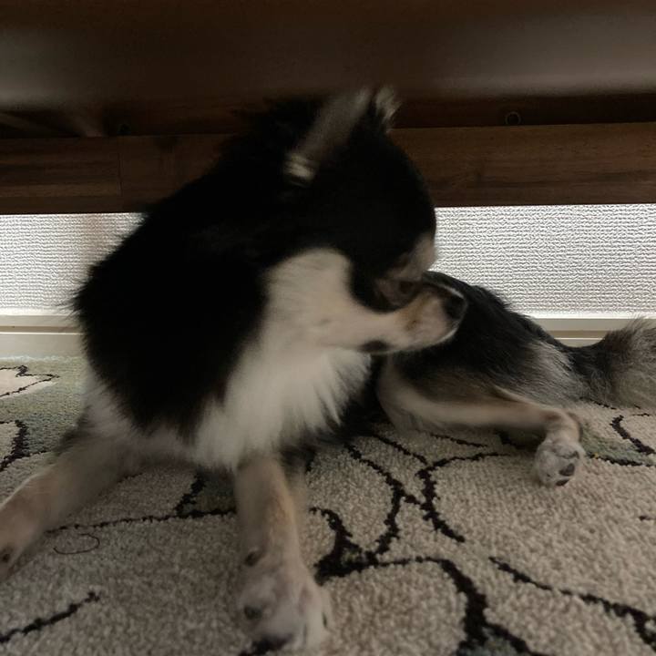 D8abaf54 c1fd 4b3e 94d8 98fd74c382be 1628998918045