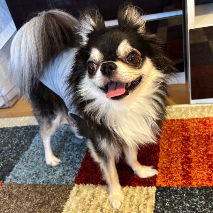 D8ac4903 df16 4ea8 9148 40d0a9da4e9f 1747587124854