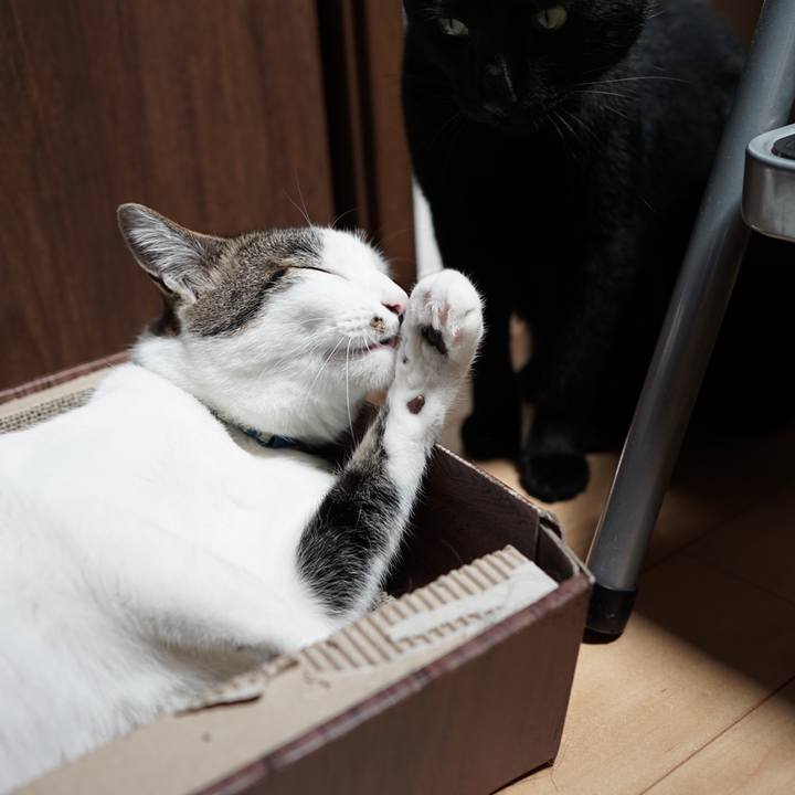 D8ac51e9 7dee 480d a038 0d08db752ddb 1560391575392