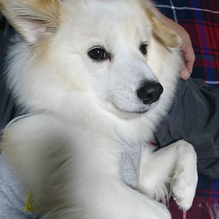 D8ac5e5e c118 4fc0 a8b0 dc04e83b8d3f 1511274062814