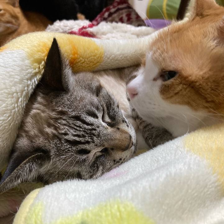 D8ac5f1e 682d 44eb 96f7 9fd71349d0d7 1773760558848