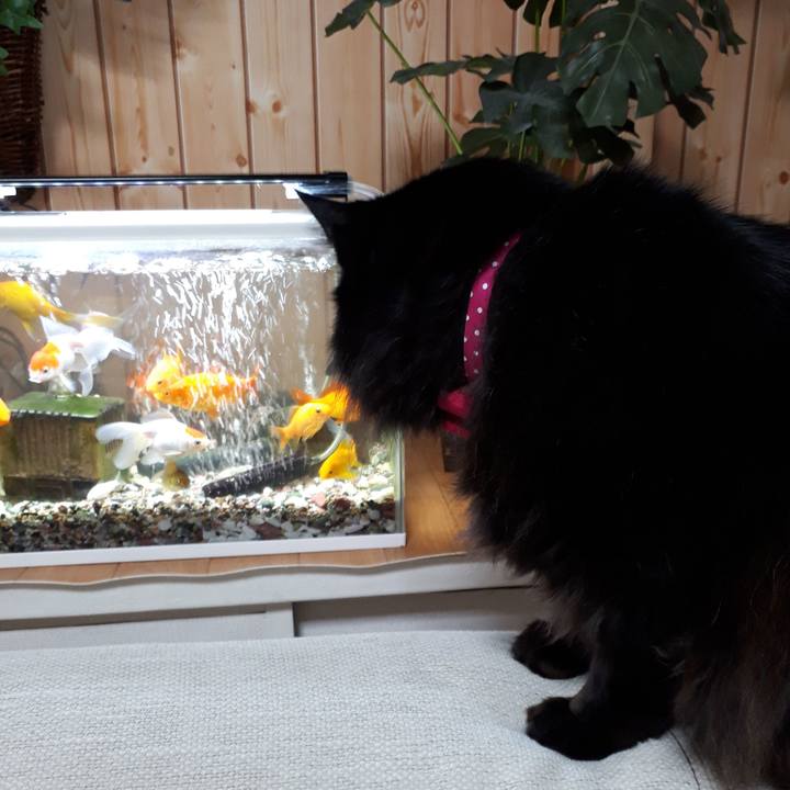 D8ac6c68 8066 4f48 bfec 57aeaa94d00b 1519075857953