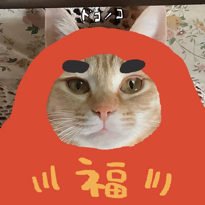 D8ac6f31 dedc 41dc b14b 3f998f4a3752 1772113951039