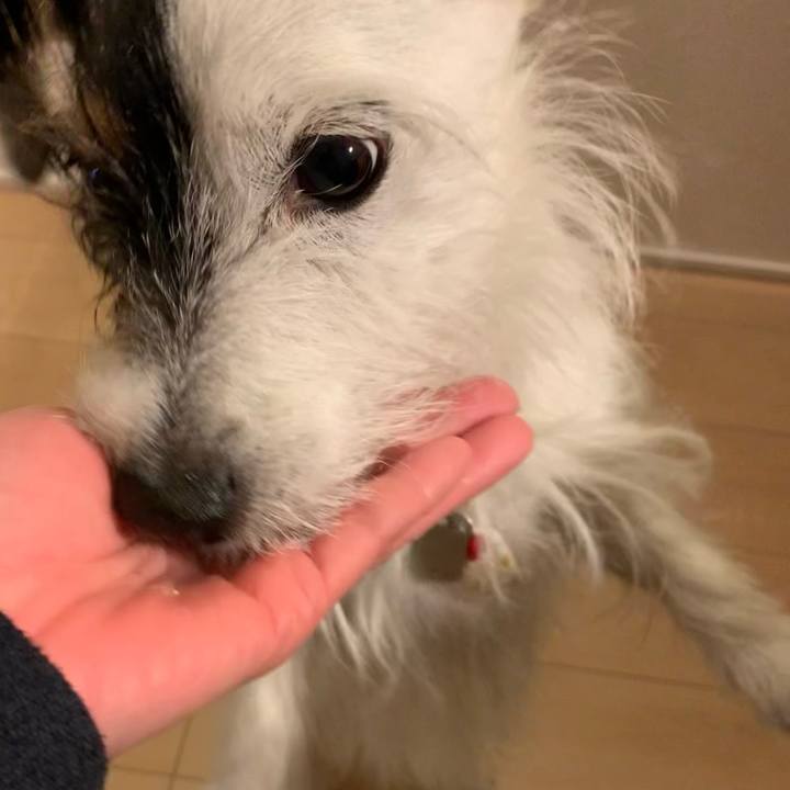 D8ac7fc0 faac 46d6 be12 64d3b0ef7944 1675245703843