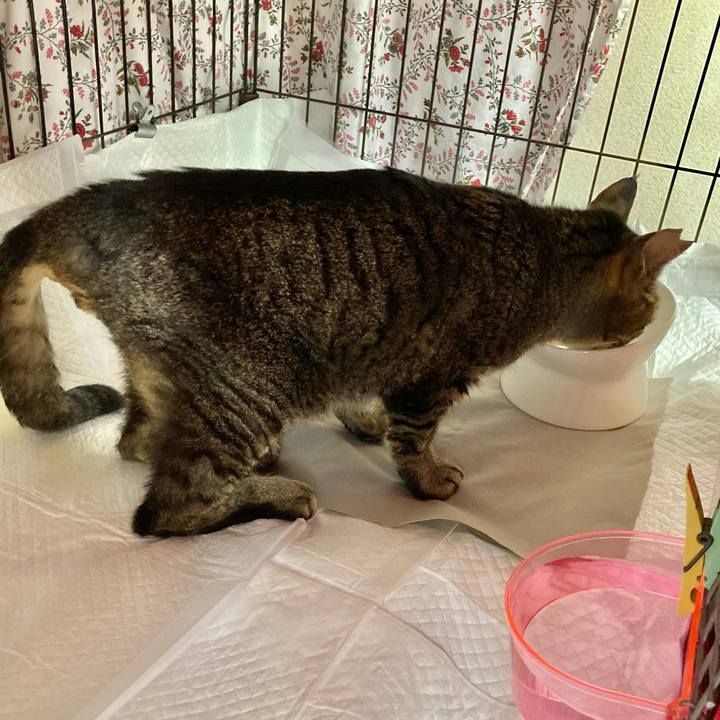 D8ac8980 35ce 4385 9021 925c0d4cf1f4 1627727844637