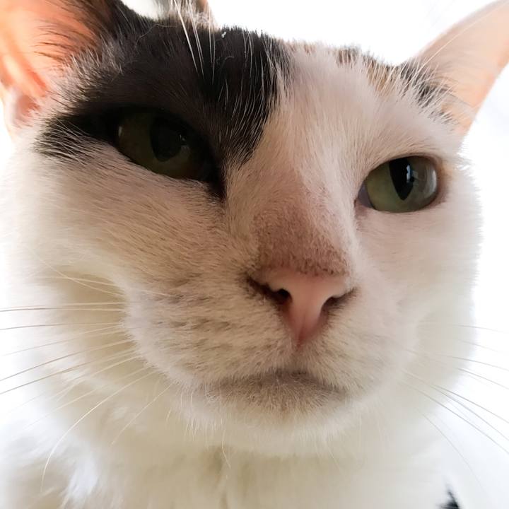 D8acd71d e8c8 4ace b14f 5fbae61dcd92 1533046942231