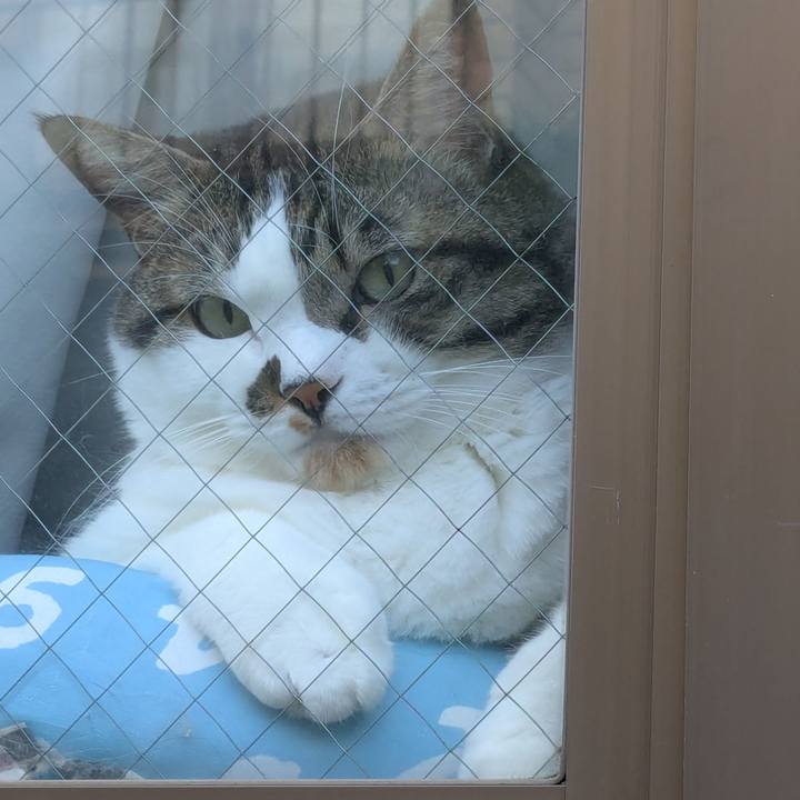 D8acee1d 57ff 403e a3e0 c2f97c3ac9f7 1756160753940