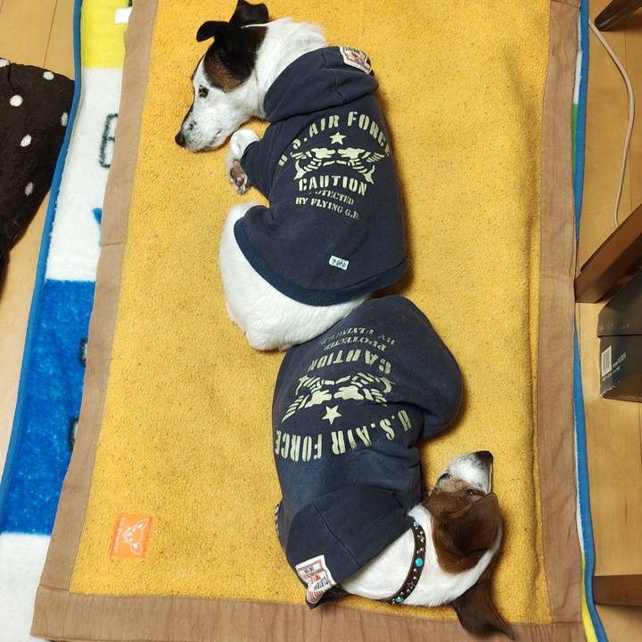 D8acfa03 3735 453f 9d9d b12eb515bf6d 1763636587522