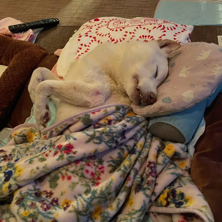 D8acffd9 22e9 4953 9993 073b610d5a39 1672927312040