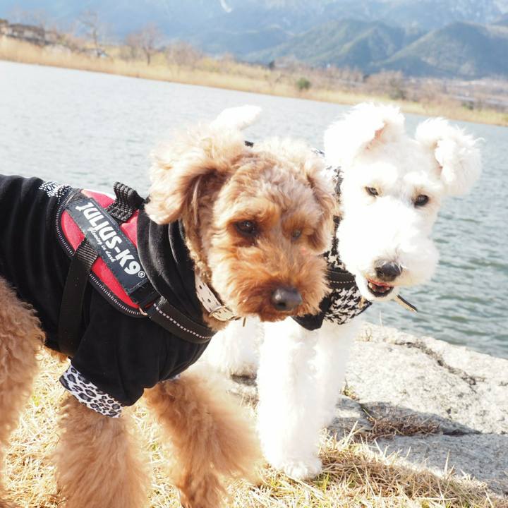 D8ad26e1 f449 48ae 8bb8 565e95336b07 1514807086142