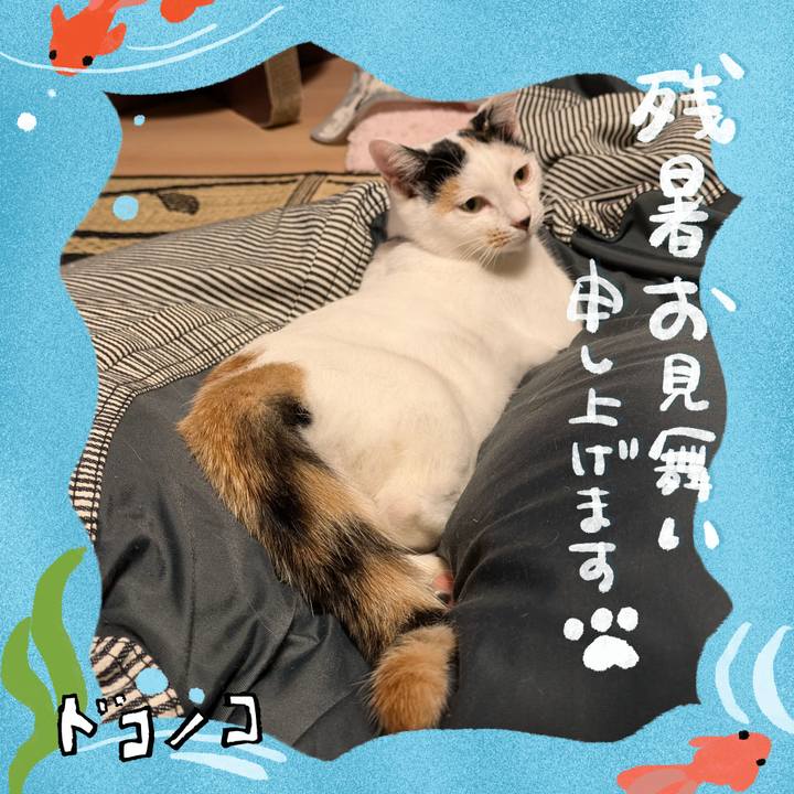 D8ad2704 4713 44f8 a16f 792490d708a2 1723475630393