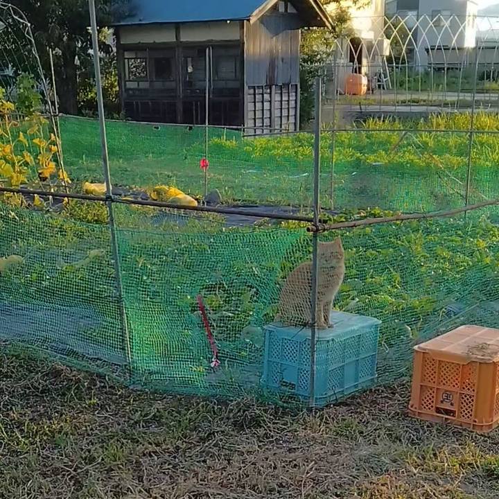 D8ad3733 56cc 4eae b7b5 a07d3d9f1306 1691490533569