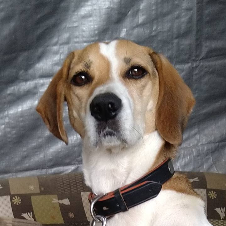 D8ad3b6f 4b9f 44bd b569 079f2597f39e 1635611330933