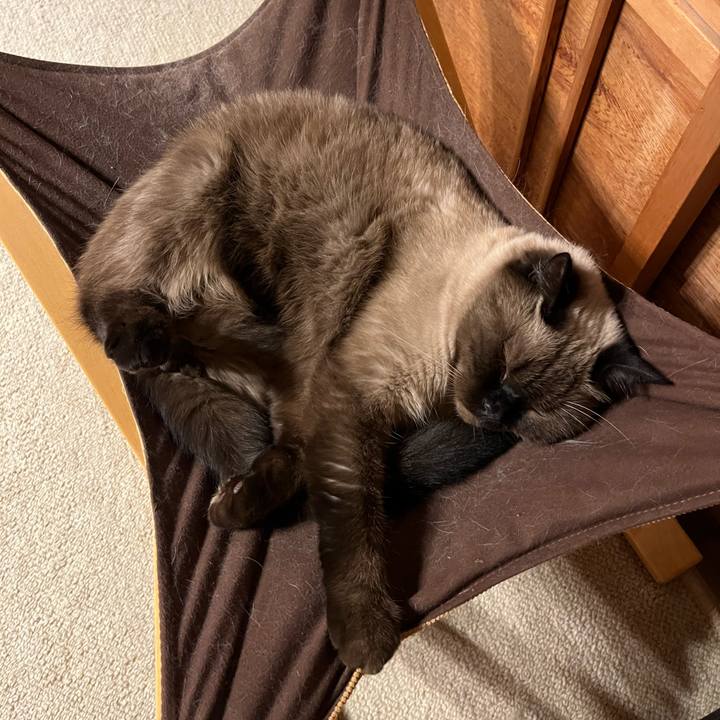 D8ad88fb bce4 41c6 abe5 182414f1c6c7 1696305281738