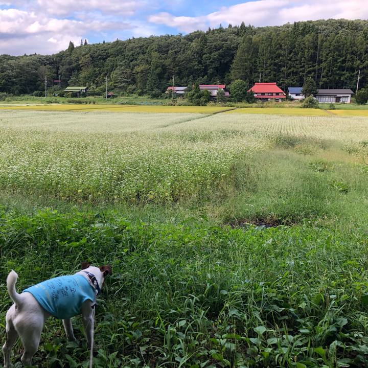 D8add85d 5ba4 4368 9623 3d0261074b48 1599902653749