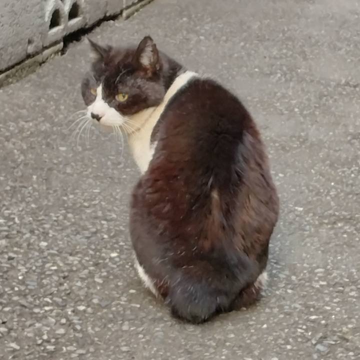 D8ade9d6 e756 444c ab85 8afa8dbdff33 1710851937794