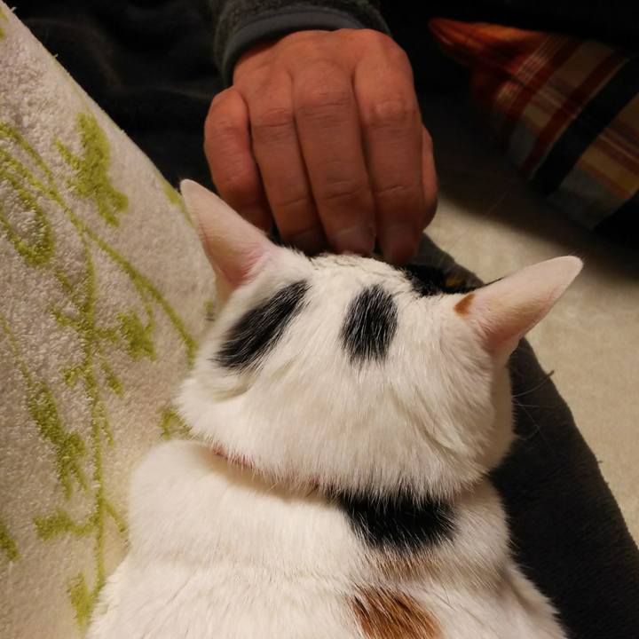 D8ae637c 8895 49f9 baf2 0db03534a317 1516794968376