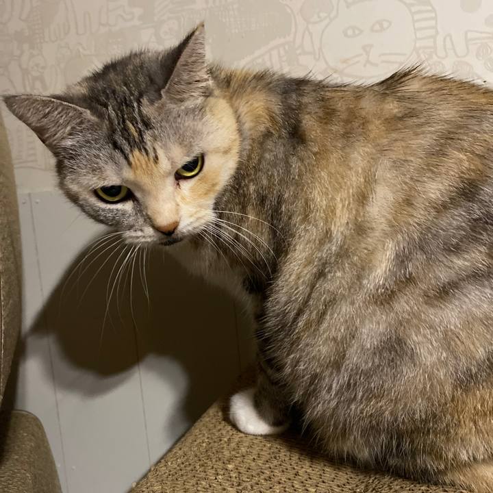 D8ae6452 15de 4beb 907f a4fdff039786 1633095681689